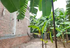 Bác nào thích rộng rãi thoáng mát thì gặp e Thủy lô đất 200m2 tại Lương Bằng Hưng Yên full tiện ích... Bán đất tại Lương Bằng, Hưng Yên 02