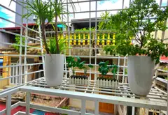 BÁN NHÀ ĐẸP TRẦN QUANG KHẢI – HỒNG BÀNG | 50M² – 4 TẦNG – SÂN CỔNG RIÊNG... Bán nhà riêng tại Hồng Bàng, Hải Phòng 13