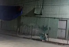 Bán đất 2291m2 sát đại học Nguyễn Tất Thành, thu nhập 130 triệu/tháng, giá 42 tỷ... Bán đất tại An Phú Đông, Hồ Chí Minh 02