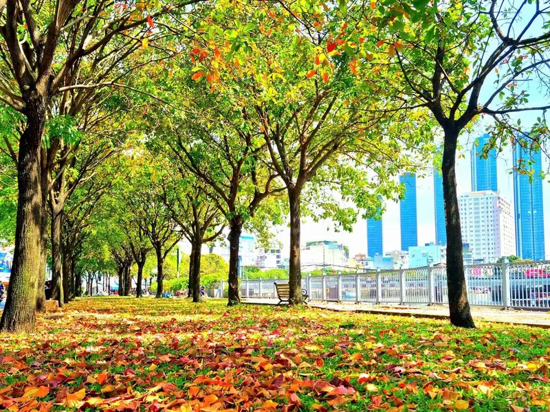 💥HOT 1️⃣ BT ngay LÚC NÀY💥vài bước là đến 🍁SEOUL giữa lòng SG + GIA ĐỊNH 🚘MT ⬅️42m2➡️ nhỉnh 4 TỶ... Bán nhà riêng tại Gia Định, Hồ Chí Minh 01