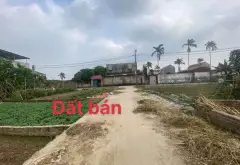 Bán đất thổ cư 47,7m² tại Quang Tiến Sóc Sơn, mặt tiền 5m, đường ô tô 3m... Bán đất tại Sóc Sơn, Hà Nội 06