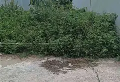 Bán đất thổ cư 91m² tại xã Sóc Sơn, vị trí thuận tiện gần trung tâm... Bán đất tại Sóc Sơn, Hà Nội 03