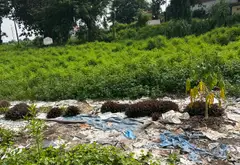 Bán nhà riêng mặt tiền rộng 9.8m tại Đồng Mai, Hà Đông... Bán nhà riêng tại Chương Mỹ, Hà Nội 03
