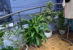 Bán nhà 44m2 2 tầng hẻm 4m phường 10 Tân Bình giá 5,6 tỷ... Bán owner_side tại Bảy Hiền, Hồ Chí Minh 05