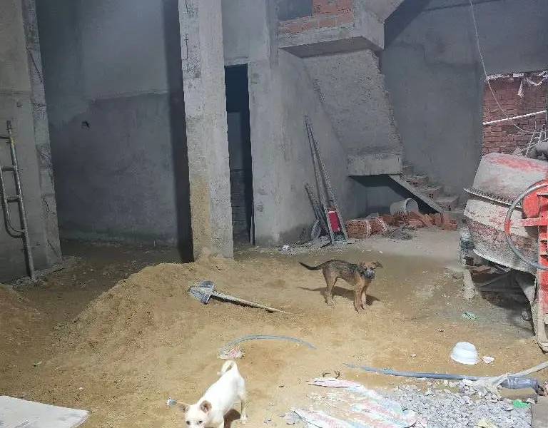 Gà đẻ trứng vàng Tân Phú: 30 CHDV thu 100tr/tháng, Tân Sơn Nhì, hẻm ô tô!... Bán owner_side tại Tân Sơn Nhì, Hồ Chí Minh 01