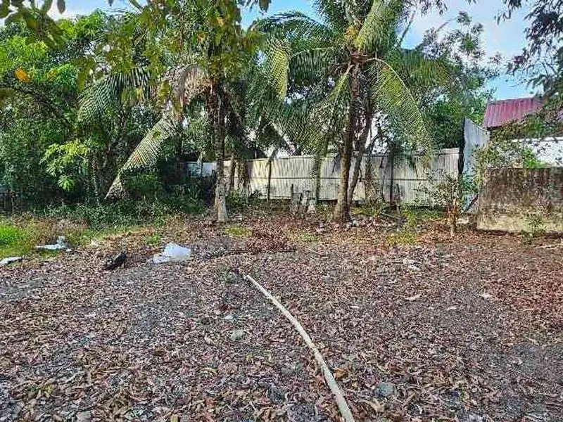 Bán đất 820m2 hướng Tây Nam, mặt tiền 18m tại Bình Chánh, giá 14 tỷ... Bán đất tại Tân Nhựt, Hồ Chí Minh 01