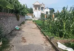 Cơ Hội Vàng Đầu Tư Đất Phù Linh Chỉ 1.65 Tỷ... Bán đất tại Sóc Sơn, Hà Nội 04