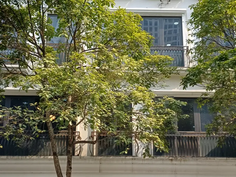 Bán tòa văn phòng lô góc Đình Thôn – 317m² – Dòng tiền 220 triệu/tháng – Giá thương lượng... Bán biệt thự, liền kề tại Cầu Giấy, Hà Nội 01