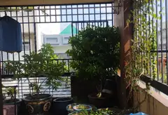 Bán nhà riêng 4 tầng 6 phòng ngủ tại phường Nhiêu Lộc, Quận 3, TP.HCM... Bán nhà riêng tại Nhiêu Lộc, Hồ Chí Minh 11