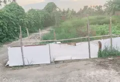 Cơ Hội Vàng Sở Hữu Đất Đẹp Thôn Đông Lâm Động... Bán đất tại Thiên Hương, Hải Phòng 04