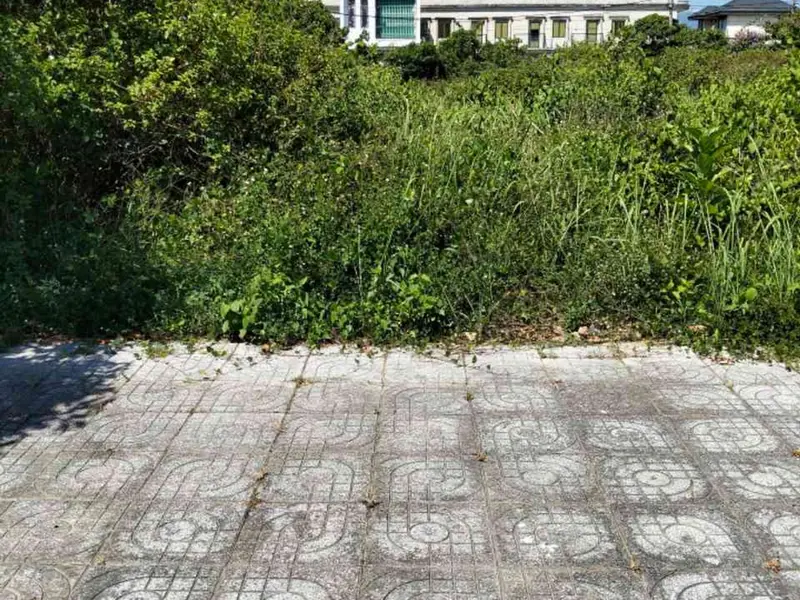 Lô đất vàng mặt tiền rộng, vị trí siêu tiện tại Liên Chiểu Đà Nẵng... Bán đất tại Liên Chiểu, Đà Nẵng 01