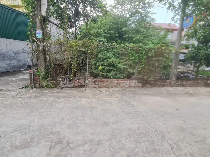 Bán đất lô góc mặt ngõ ô tô tại phường Ninh Xá, Bắc Ninh, 67.5 m²... Bán đất tại Ninh Xá, Bắc Ninh 01
