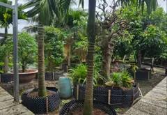 🔥🔥 ĐẤT 1.030M² – THỔ CƯ 825M² – HIẾM CÓ 🔥🔥 ĐƯỜNG PHẠM VĂN SÁNG – XÃ VĨNH LỘC - TP. HCM... Bán nhà riêng tại Vĩnh Lộc, Hồ Chí Minh 10