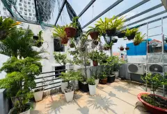 TL08 Q12 – KHU NAM LONG – 70M² – NHÀ 3 TẦNG – HẺM XE TẢI 💸 7,4 TỶ... Bán nhà riêng tại An Phú Đông, Hồ Chí Minh 14