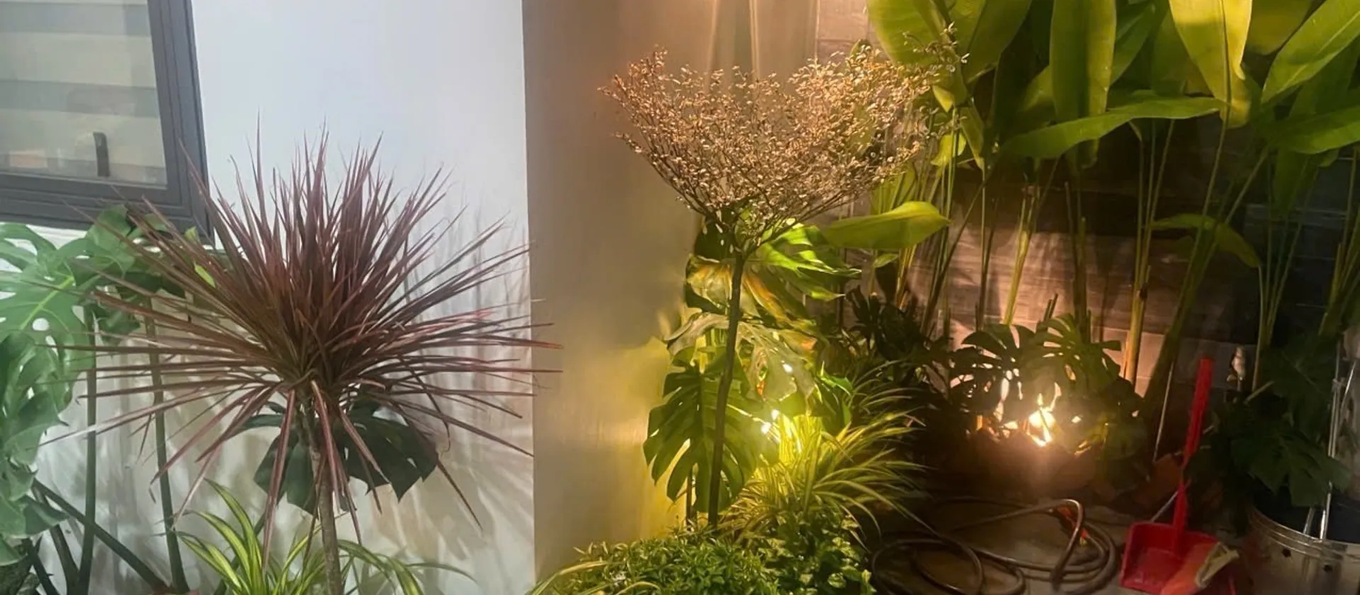 Nhà 2 tầng mặt tiền rộng hiếm tại trung tâm Hoàng Diệu - Đáng sở hữu ngay hôm nay... Bán nhà riêng tại Hải Châu, Đà Nẵng 01