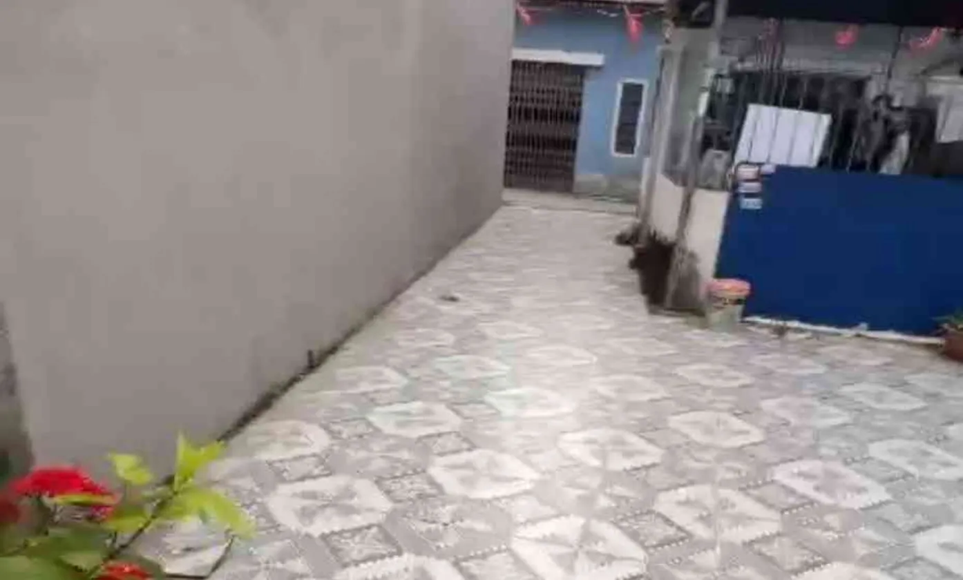 Nhà 4 tầng hướng Đông Nam, ôtô vào tận cửa, diện tích thực lên đến 145m², cơ hội hiếm... Bán nhà riêng tại Hải An, Hải Phòng 01