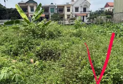 Mảnh đất vàng cho nhà đầu tư tại Ninh Xá, Bắc Ninh... Bán đất tại Ninh Xá, Bắc Ninh 01