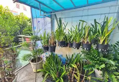 Nhà mặt phố 5 tầng sang trọng, thang máy hiện đại, giá tốt... Bán nhà mặt phố tại Bảy Hiền, Hồ Chí Minh 17
