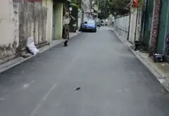 🏡 HÀ LÂM 2 – ĐÔNG ANH | ĐẤT ĐẸP TẦM TÀI CHÍNH 4 TỶ... Bán đất tại Thư Lâm, Hà Nội 01
