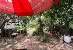 Đất rộng đẹp Đại Mỗ giá cực tốt, vị trí vàng cho nhà đầu tư... Bán đất tại Đại Mỗ, Hà Nội 01