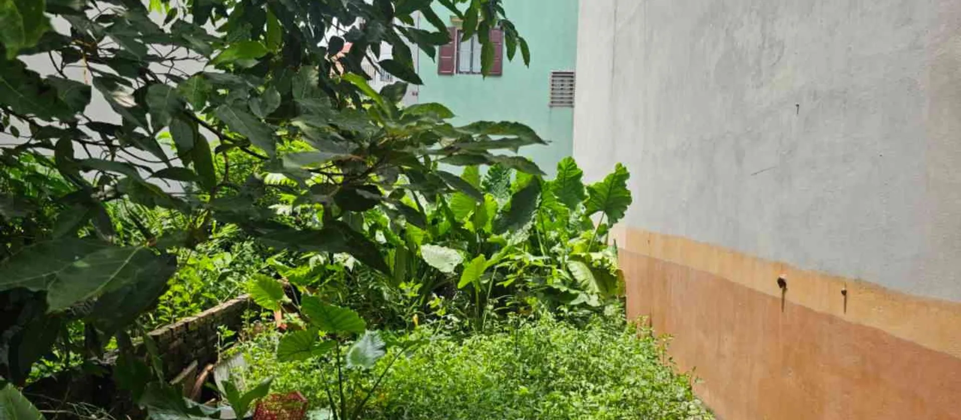 Đất Phú Thượng 50m² ngõ rộng ô tô vào, giá tốt... Bán đất tại Phú Thượng, Hà Nội 01