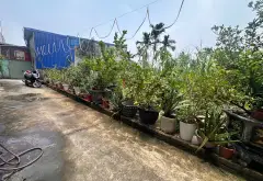 Đất trung tâm Kiến An, vị trí đầu tư siêu tiềm năng... Bán đất tại Phù Liễn, Hải Phòng 04