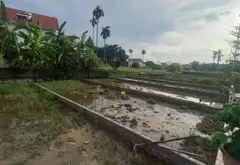 Lô đất mặt tiền rộng tại xã An Trường, huyện An Lão, phù hợp đầu tư hoặc xây dựng nhà ở... Bán đất tại An Trường, Hải Phòng 08