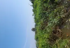 Bán nhà riêng diện tích lớn tại xã Xuân Thới Sơn, Hóc Môn... Bán nhà riêng tại Xuân Thới Sơn, Hồ Chí Minh 10