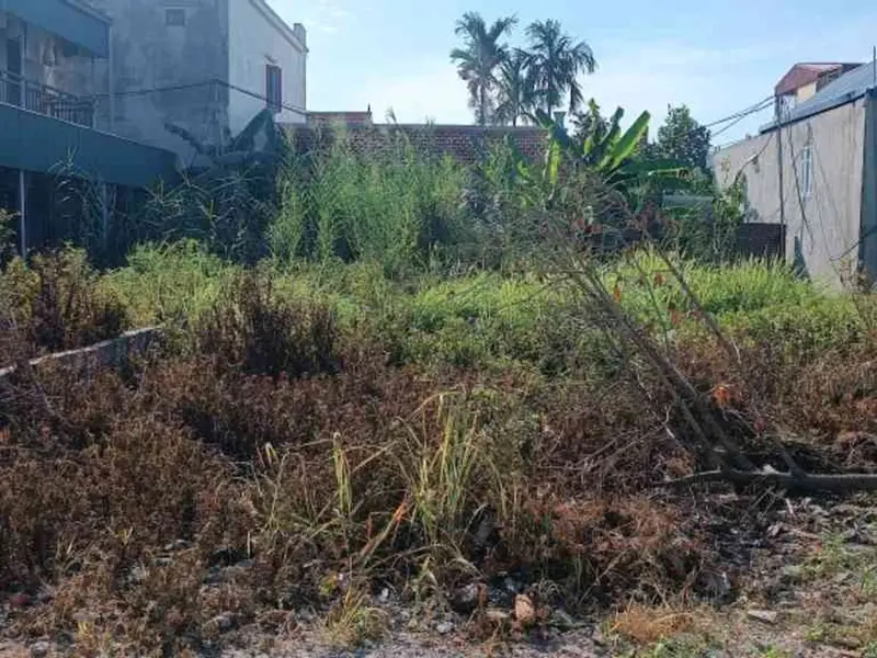 Chiến Mảnh Đất Vàng An Phong - Dựng Tổ Ấm & Đầu Tư Sinh Lời... Bán đất tại An Phong, Hải Phòng 01