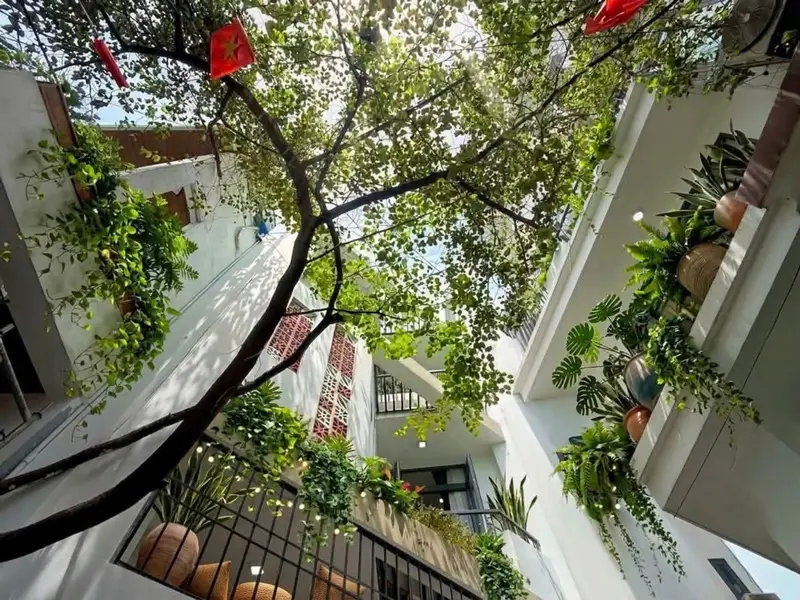 Cơ hội sở hữu nhà kiệt ô tô rộng Nguyễn Văn Linh tại Hải Châu, giá tốt hiếm có... Bán nhà riêng tại Hải Châu, Đà Nẵng 01