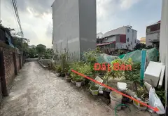 Bán đất 59m2 hướng Nam tại Dương Quang, giá 3,2 tỷ... Bán đất tại Thuận An, Hà Nội 01