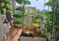 Biệt thự tân cổ điển hai mặt tiền khu dân cư cao cấp Quận 7... Bán nhà mặt phố tại Tân Hưng, Hồ Chí Minh 08
