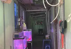 Bán nhà mặt phố 2 tầng 152m2 tại Bình Chánh giá 10,2 tỷ 0948769331... Bán nhà mặt phố tại Bình Hưng, Hồ Chí Minh 08