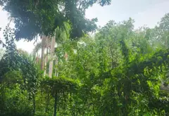 Bán đất mặt tiền Nguyễn Bình, xã Nhơn Đức, Nhà Bè, diện tích lớn 181.3 m2, pháp lý cơ sở... Bán đất tại Hiệp Phước, Hồ Chí Minh 06
