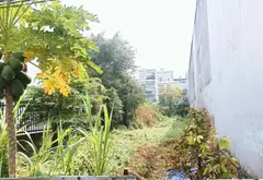 Bán đất 468m2 thổ cư tại Phú Xuân, Nhà Bè, mặt tiền 9m... Bán đất tại Nhà Bè, Hồ Chí Minh 02