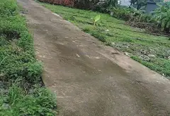 Cơ hội hiếm có sở hữu đất vàng tại Thôn Hầu Lâm Đông... Bán đất tại Thiên Hương, Hải Phòng 01
