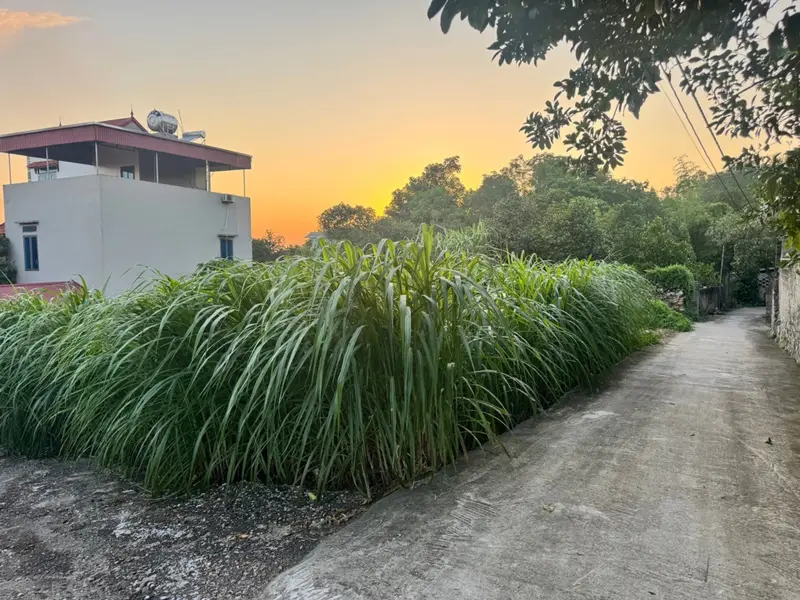 🔥 ĐẤT CHIA LÔ, Ô TÔ VÀO ĐẤT, HAI MẶT THOÁNG TẠI NGỌC XÁ, ĐÀO VIÊN, BẮC NINH| 85,1M² –CHỈ 1,x TỶ... Bán đất tại Đào Viên, Bắc Ninh 01