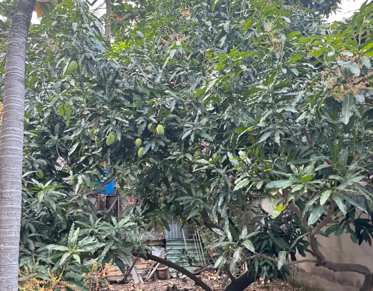 Bán nhà mặt phố QL1A, mặt tiền lớn 20m, tại Quận 12, giá 120 tỷ... Bán nhà mặt phố tại An Phú Đông, Hồ Chí Minh 01