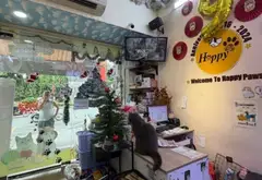 Nhà mặt phố Quận 11 - Cơ hội hiếm, giá sốc!... Bán nhà mặt phố tại Phú Thọ, Hồ Chí Minh 08