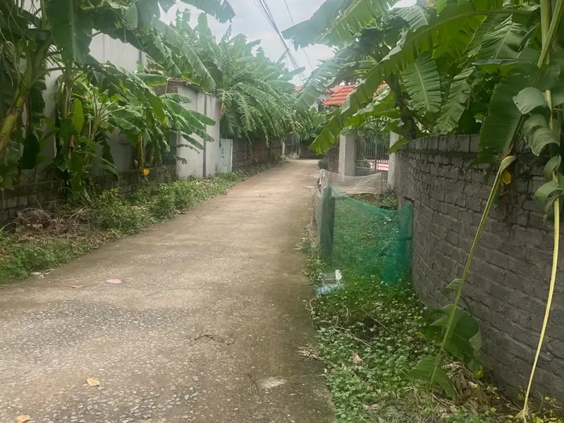 Bán nhà riêng 200m² lô góc tại Gia Bình, Bắc Ninh - Giá 4.25 tỷ... Bán nhà riêng tại Gia Bình, Bắc Ninh 01
