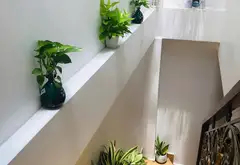 Nhà Mặt Phố Đẹp, Mặt Tiền Siêu Hiếm tại Tân Bình... Bán nhà mặt phố tại Tân Sơn Hòa, Hồ Chí Minh 03