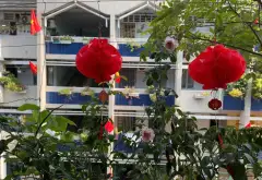 Căn hộ tầm nhìn mở giữa lòng Quận 3, giá sốc ngày 22/10... Bán căn hộ chung cư tại Nhiêu Lộc, Hồ Chí Minh 03