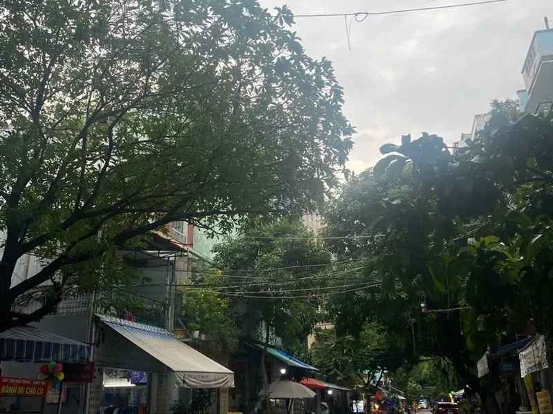 Nhà mặt phố Văn Chung sang trọng, tiện ích đỉnh cao... Bán nhà mặt phố tại Tân Bình, Hồ Chí Minh 01
