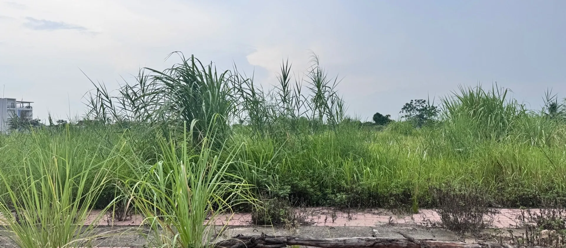 🔥🔥MẢNH ĐẤT TĐC VUÔNG NHƯ TỜ A4 - PHÂN LÔ VỈA HÈ, HAI MẶT THOÁNG - GIÁ ĐẦU TƯ🔥🔥

💥💥Mô tả:Mảnh... Bán đất tại Khoái Châu, Hưng Yên 01