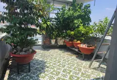 Nhà mặt phố Thạnh Lộc 59m², 4 tầng, phù hợp kinh doanh đa ngành nghề... Bán nhà mặt phố tại An Phú Đông, Hồ Chí Minh 14