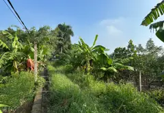 Bán đất mặt tiền lớn diện tích to giá rẻ vị trí khu UY NỖ tiện ích ngập lối 302 m giá dưới 2 tỏi... Bán đất tại Đông Anh, Hà Nội 09