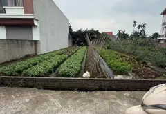 Mảnh Đất Vuông Đẹp, Ô Tô Vào Ngõ Thông, Phù Hợp Đầu Tư Tại Mai Kỳ Sơn... Bán đất tại An Dương, Hải Phòng 01