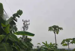 Lô đất vị trí thuận lợi tại phường Thiên Hương, Hải Phòng... Bán đất tại Thiên Hương, Hải Phòng 07