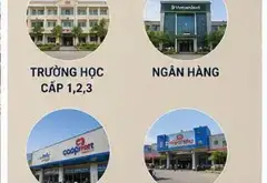 Cần gấp! Đất 577m2 Mặt Tiền Đặng Thúc Vịnh, Đông Thạnh Hóc Môn. Giá 60 Tỷ,... Bán nhà mặt phố tại Đông Thạnh, Hồ Chí Minh 05
