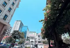 Bán toà nhà 8 tầng mặt phố Phổ Quang, Sân Bay Tân Bình - 179m, ngang 6.1m, 79 tỷ... Bán nhà mặt phố tại Tân Sơn Hòa, Hồ Chí Minh 06
